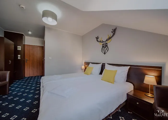 Karpacki & - Blisko Wyciagu, Restauracja, Sala Zabaw, Bar 24h (adults Only) Bed & Breakfast 3*